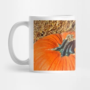 Pumpkin Stem Mug